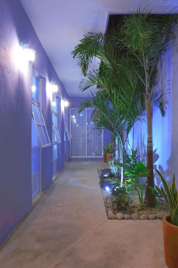 Casa Violeta Villa Merida Exterior photo